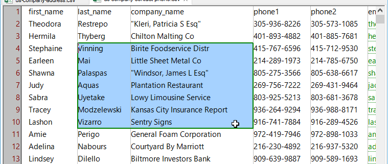 Cell Selection Mode (random fictitious data)